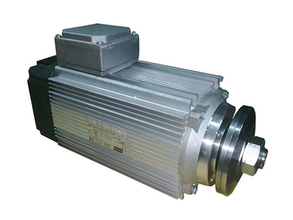 Brake / Cutting motor