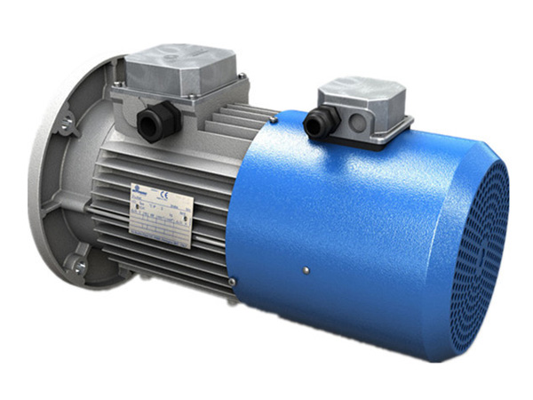 Italian MOTOVARIO three-phase variable frequency motor