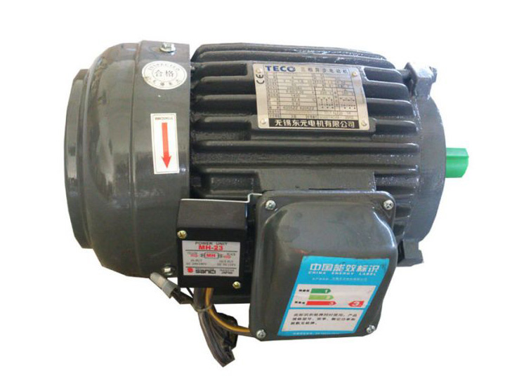 TECO brake motor