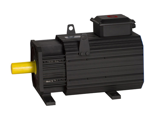 Dongguan permanent magnet synchronous servo motor GT