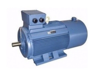 American Marathon frequency conversion motor LVF