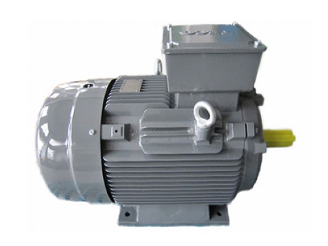 TECO special motor for cooling tower
