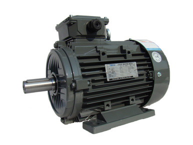 TECO aluminum shell motor