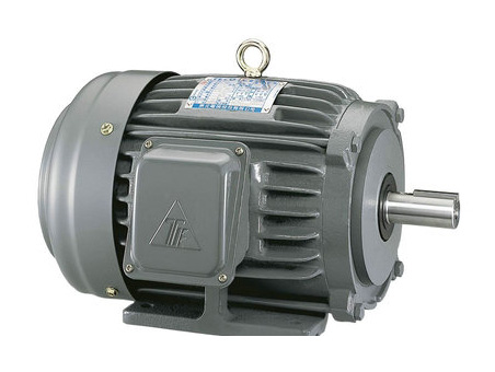 TECO double speed motor