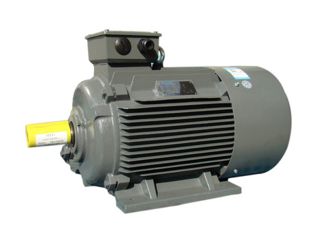 TECO self-cooled variable frequency motor V