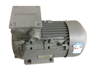 Siemens Beide aluminum shell motor 1TL0301